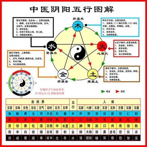 中醫五行歸類表|中醫五行:基本概念,五行屬性及歸類,五行屬性歸類,五行。